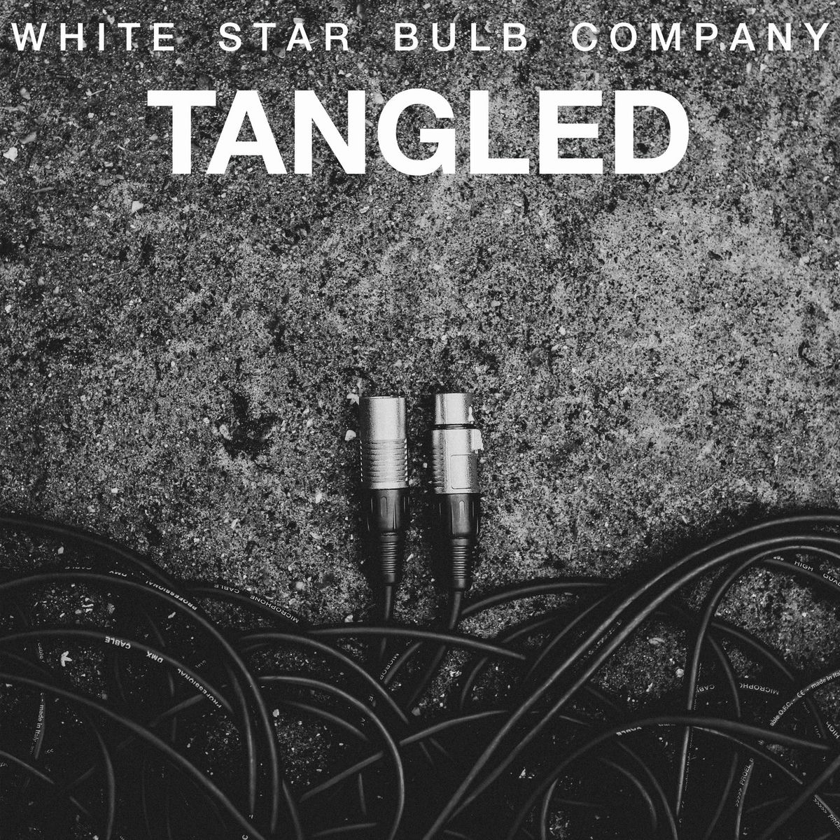 Album cover of Tangled