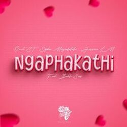 Cover of Ngaphakathi (feat. Buhle Sax)