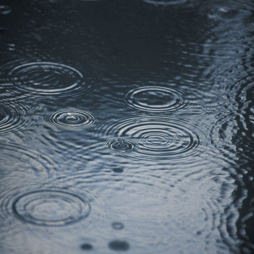Picture of Spring Rain