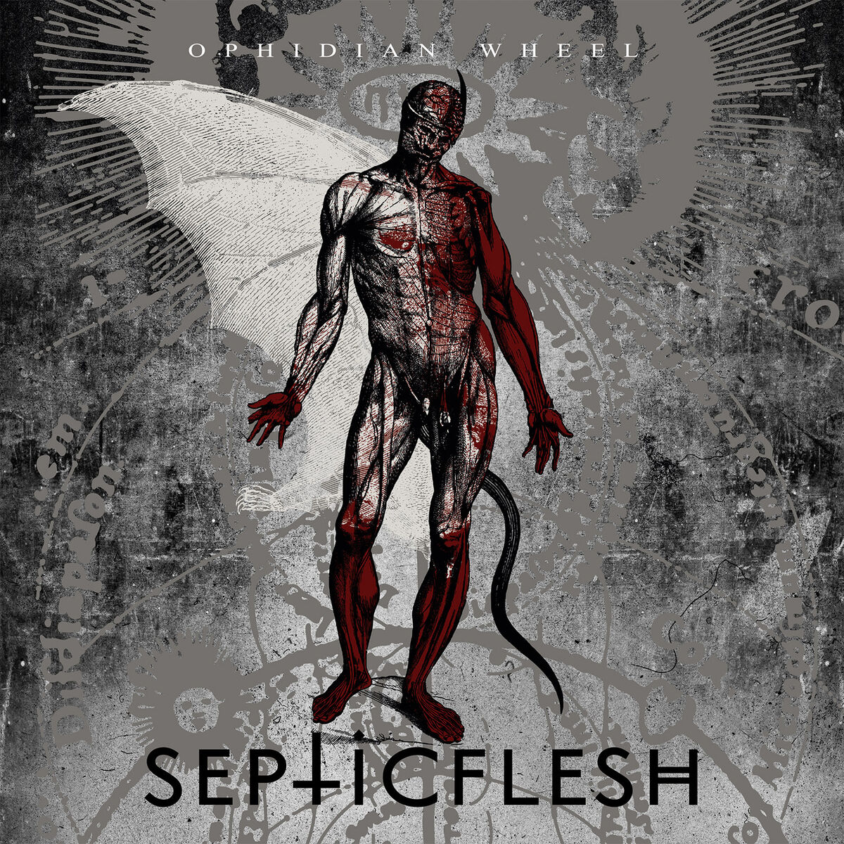 Album cover of Ophidian Wheel