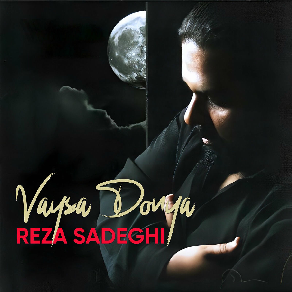 Album cover of Vaysa Donya