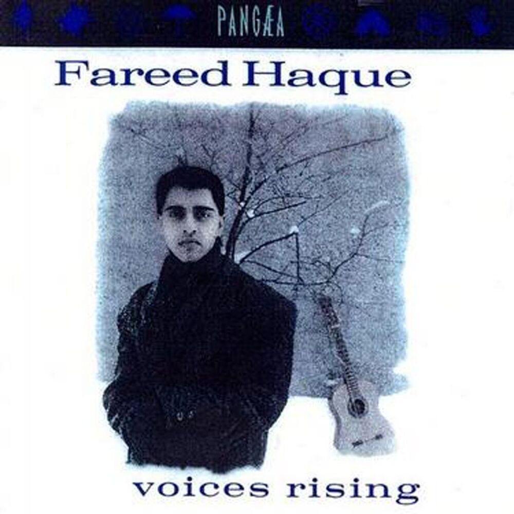 Picture of Voices Rising