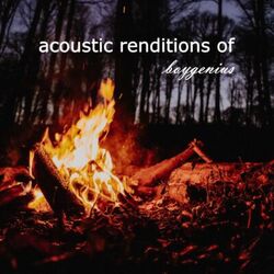 Cover of Acoustic Renditions of Boygenius (Instrumental)