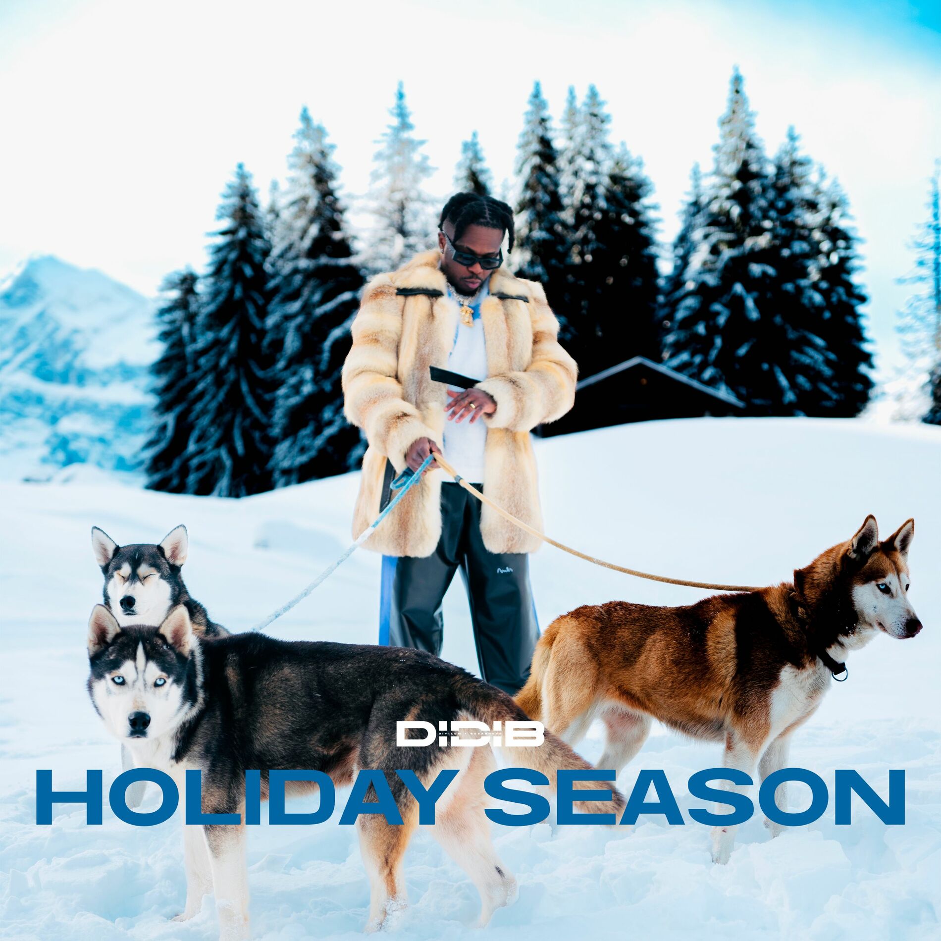 Album cover of Holiday Season