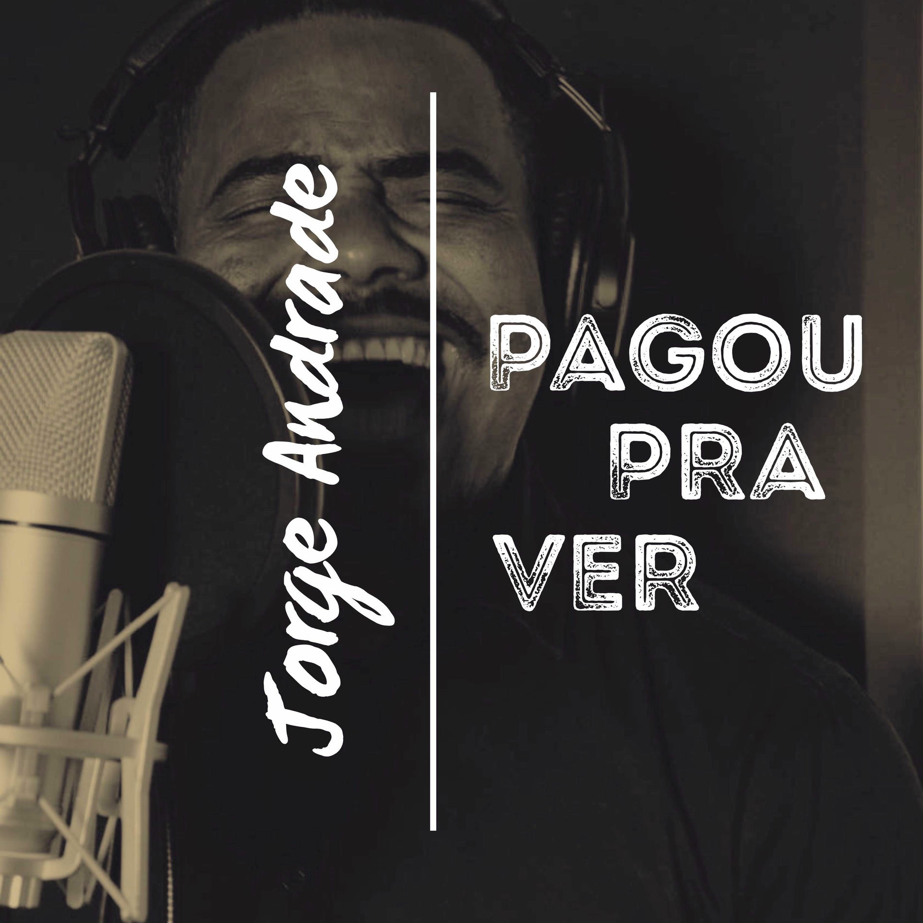 Album cover of Pagou Pra Ver