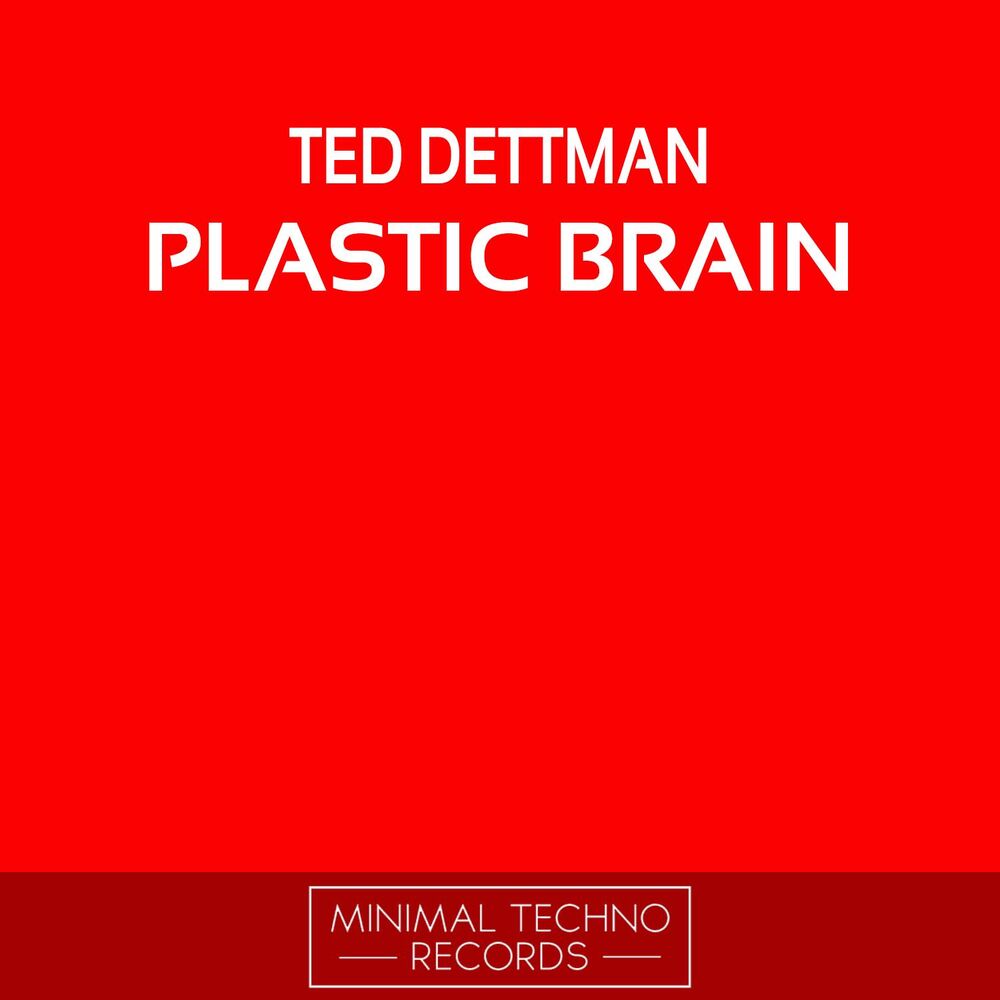 Picture of Plastic Brain
