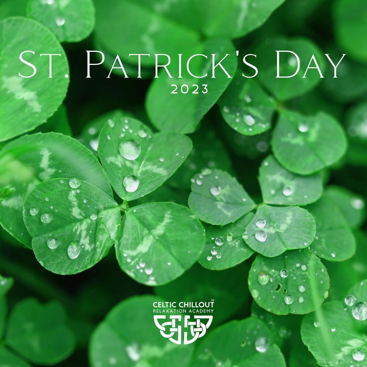 Album cover of St. Patrick's Day 2023: The Hunt for the Four-Leaf Clover, Saint Patrick's Jig, The Voyage to the Elves