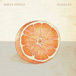 Cover of Fuiste Tú