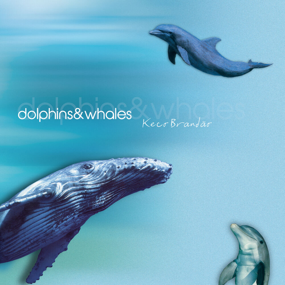 Picture of Dolphins & Whales