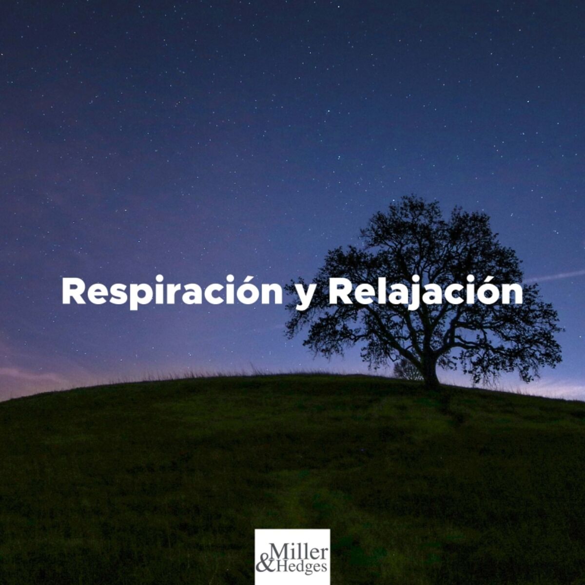 Album cover of Respiracion Y Relajacion: Musica Tranquila Instrumental Con Los Sonidos De La Naturaleza