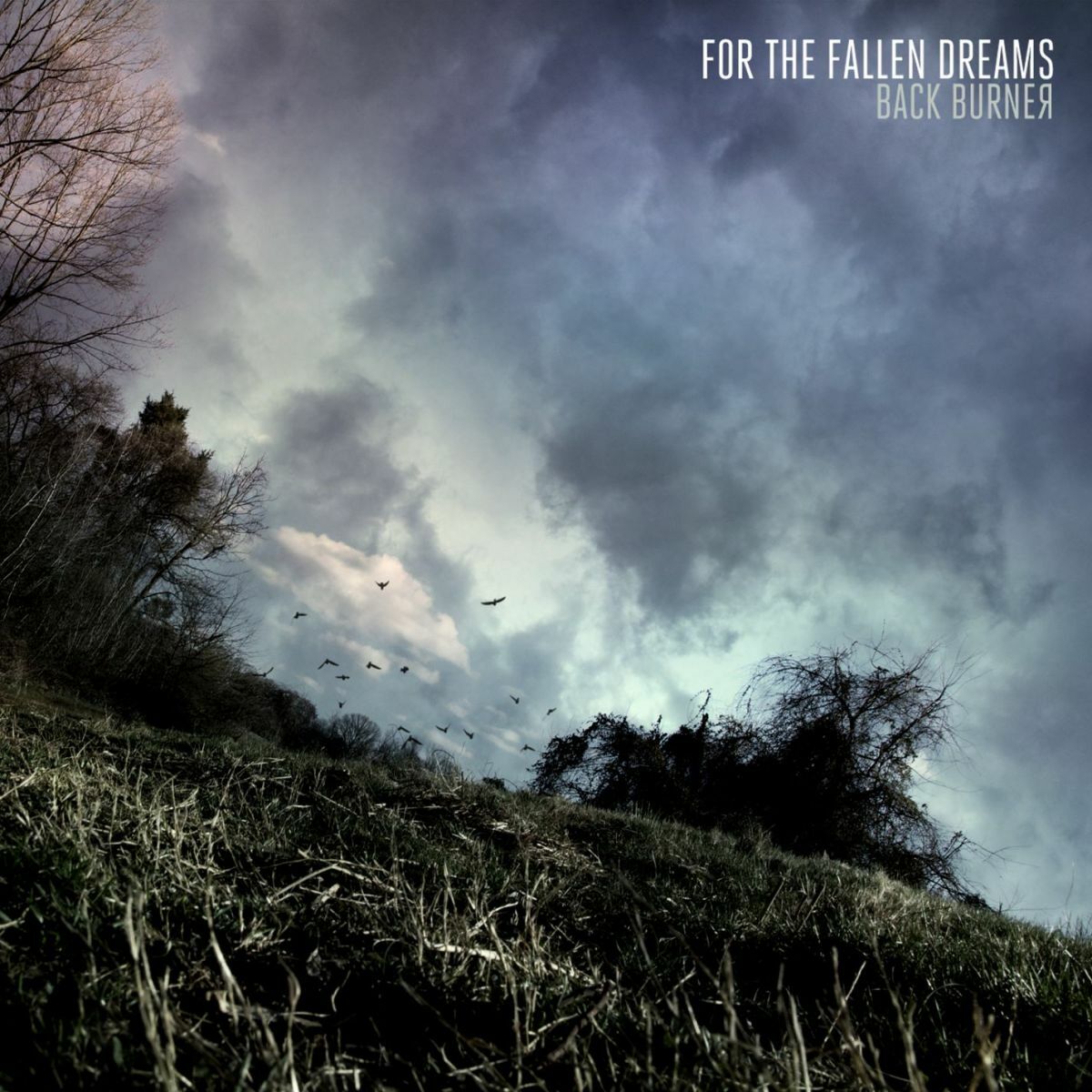 Album cover of The Big Empty