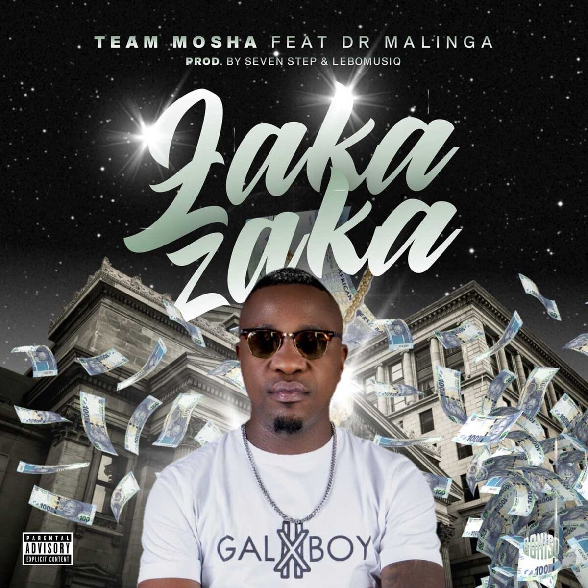 Album cover of Zaka Zaka (feat. Dr Malinga)