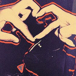 Cover of Player