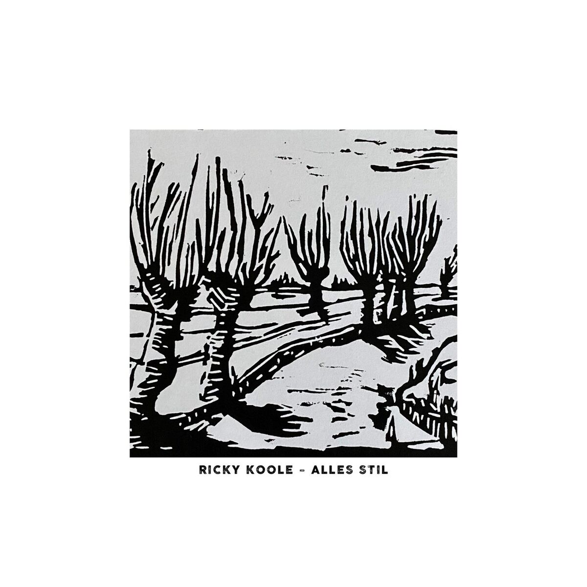 Album cover of Alles Stil