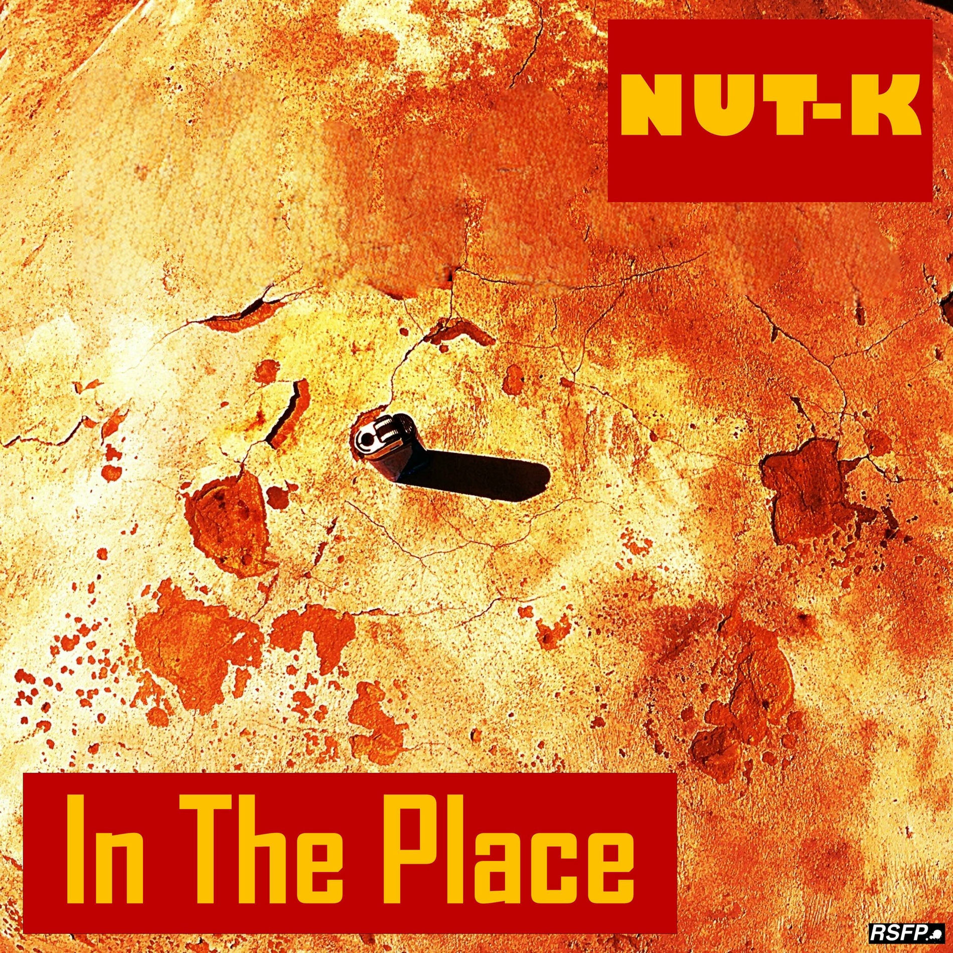 Album cover of In The Place