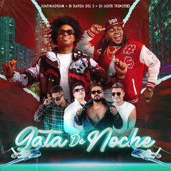 Cover of Gata de Noche