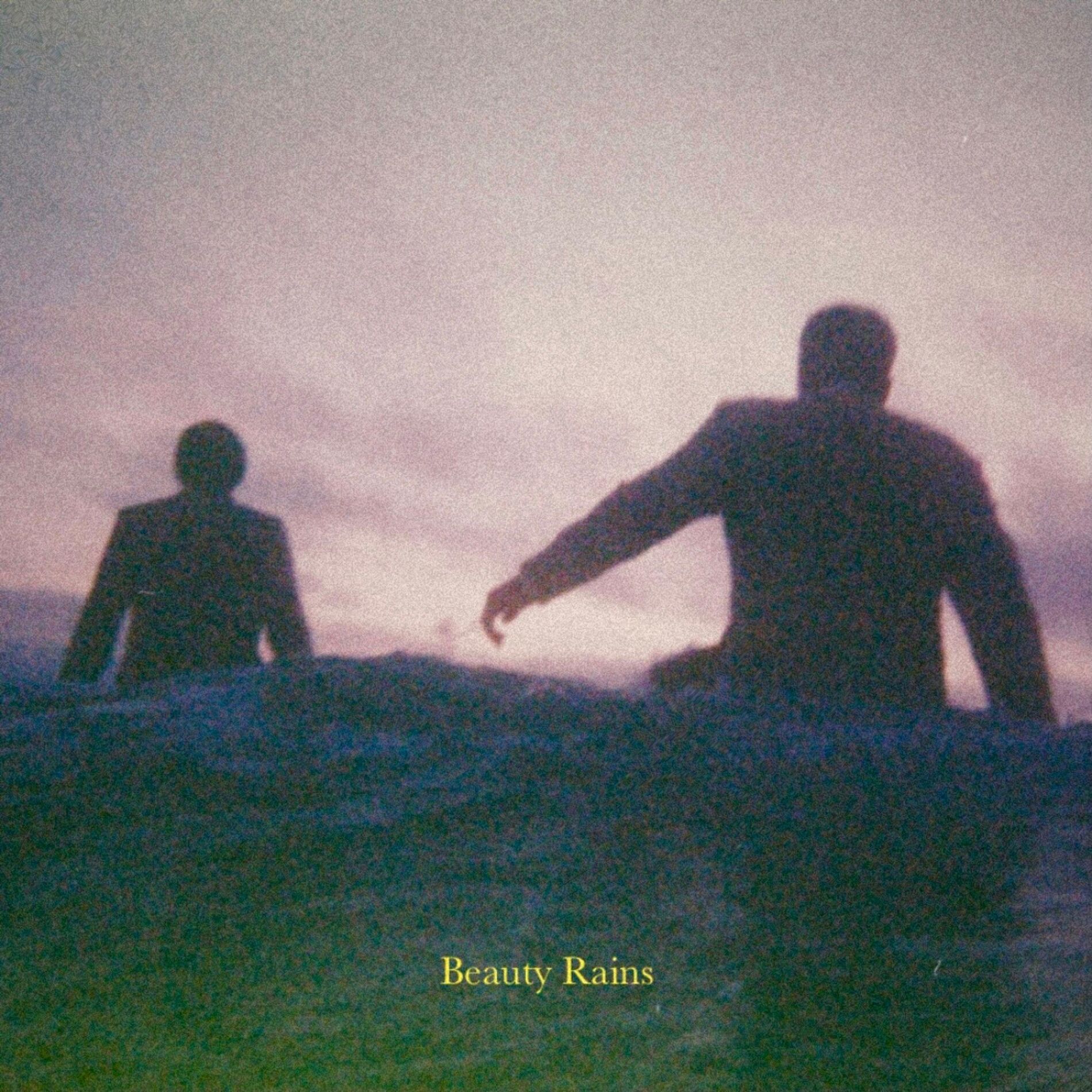 Album cover of Beauty Rains