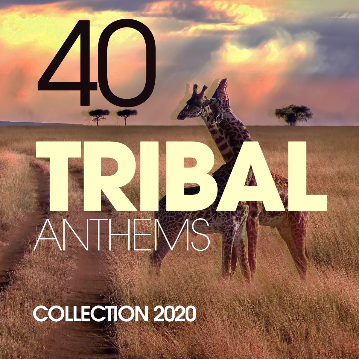 Album cover of 40 Tribal Anthems Collection 2020