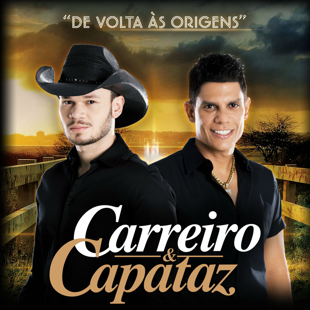 Album cover of Doutor e o Caipira