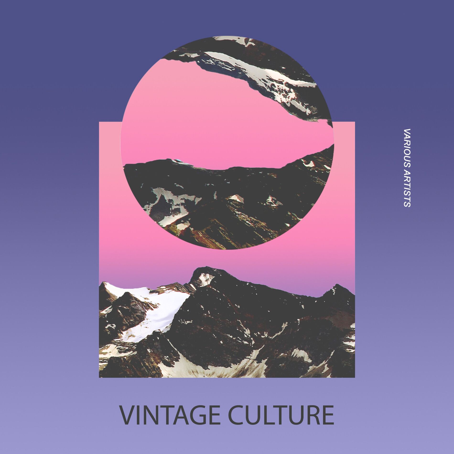 Album cover of Vintage Culture