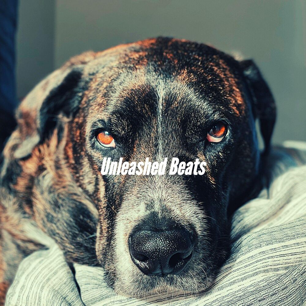 Picture of Unleashed Beats