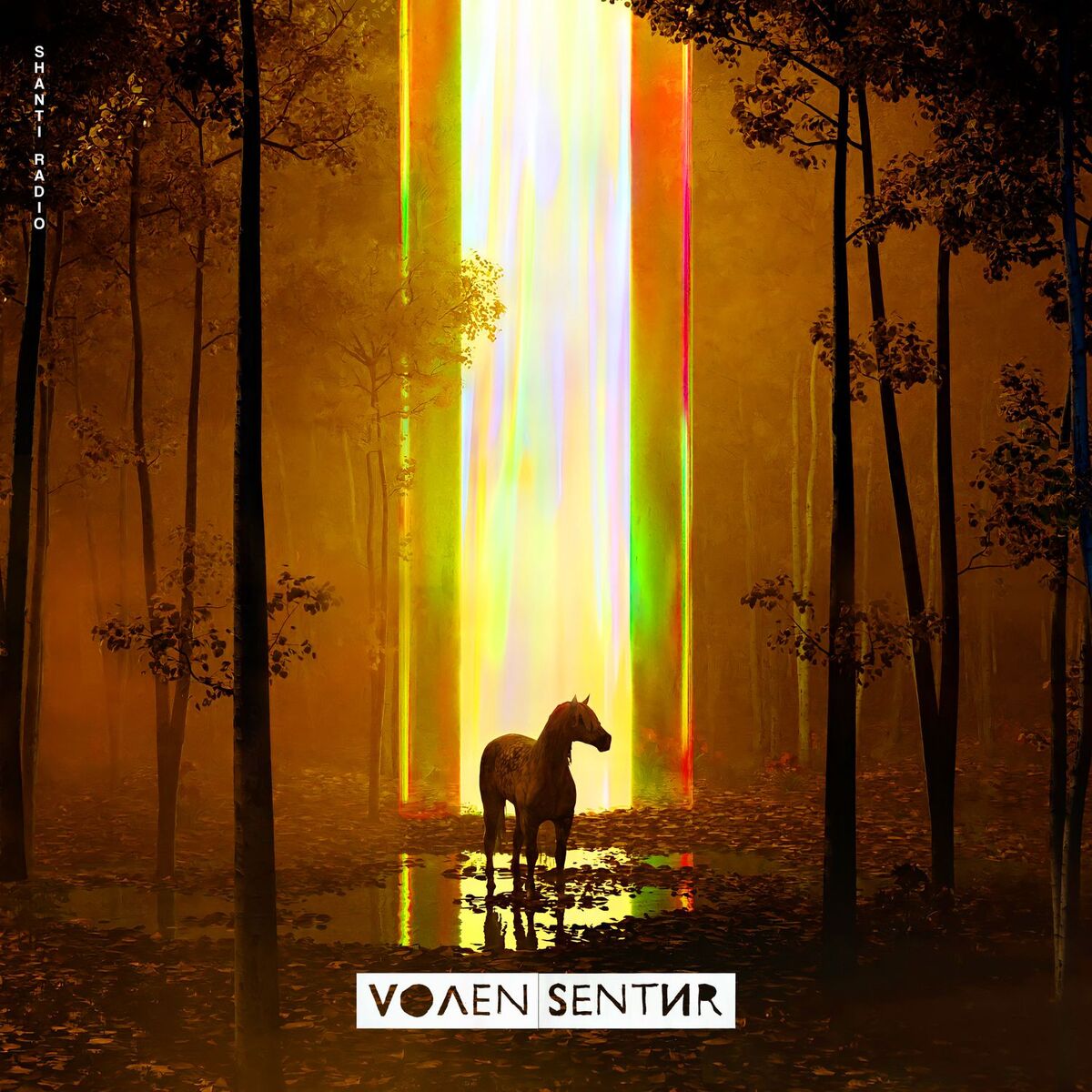 Album cover of Havada