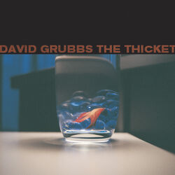 Cover of The Thicket