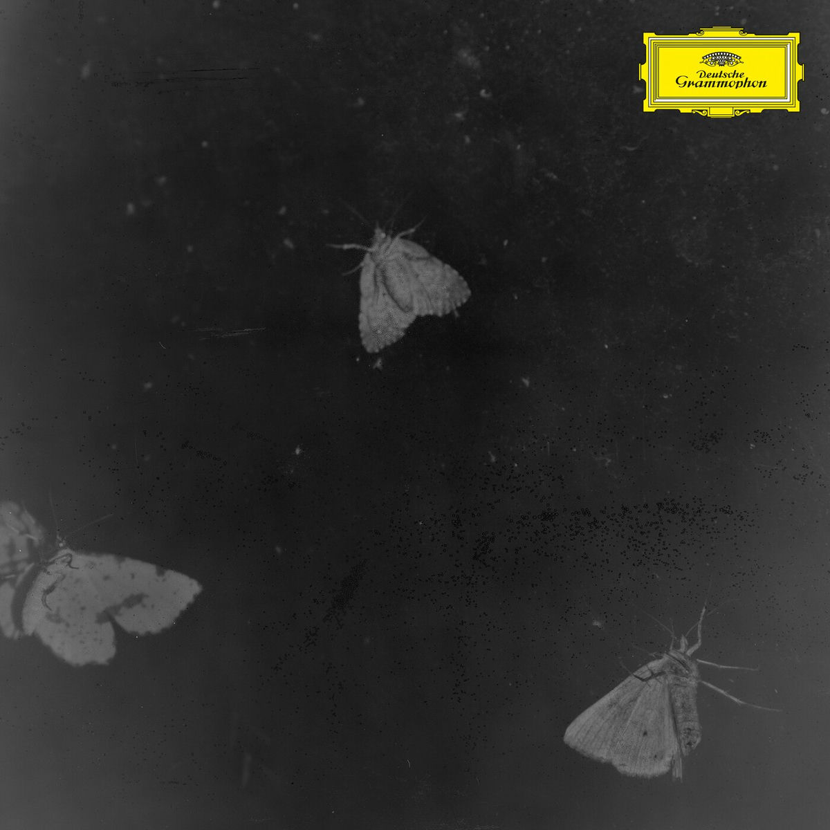 Album cover of Night Scene With Moon