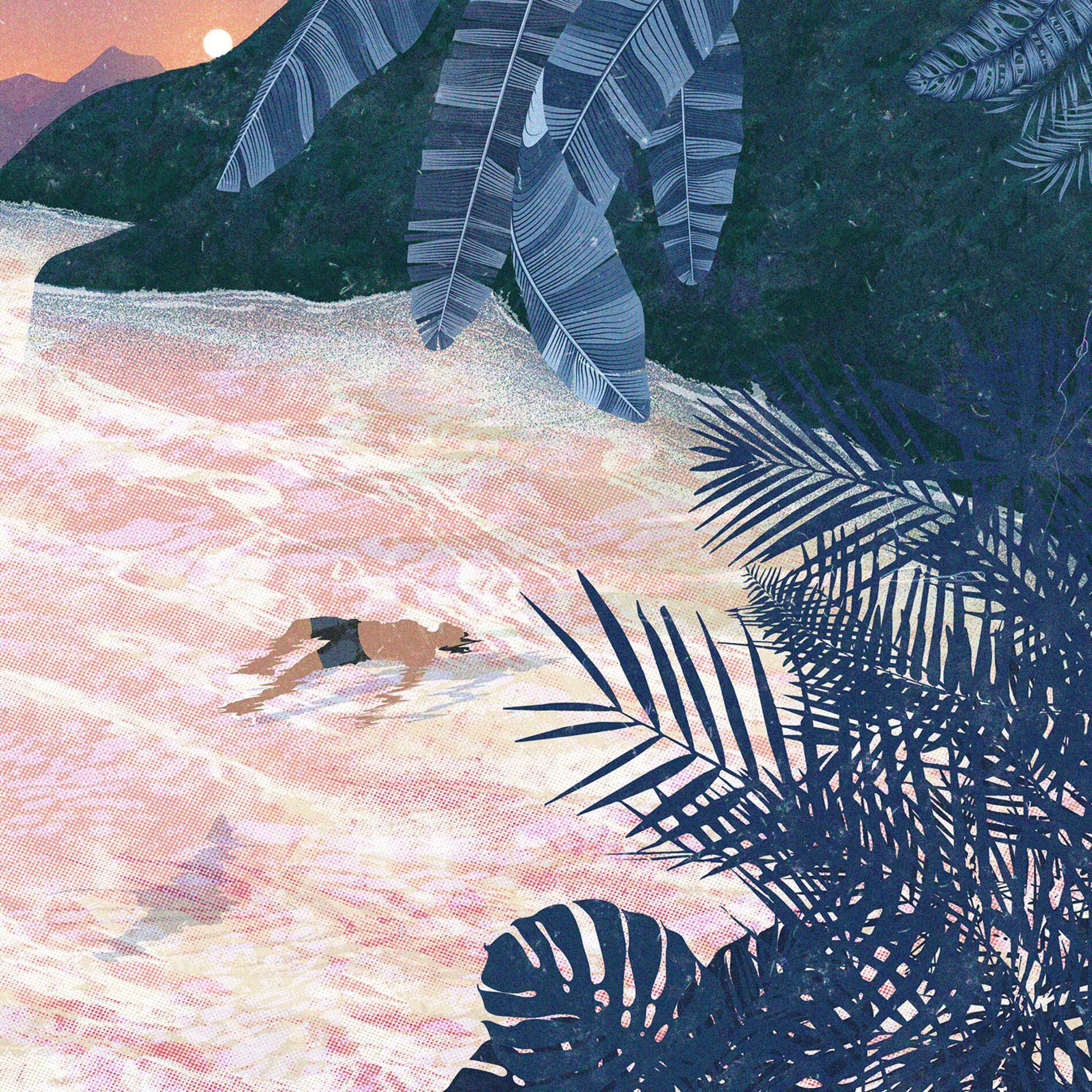 Album cover of Anemoia