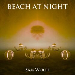 Cover of Beach at Night