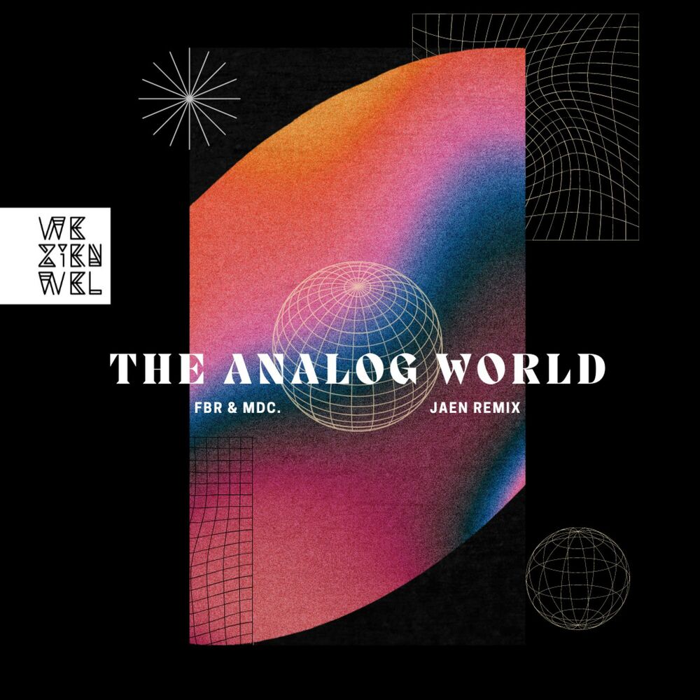 Picture of The Analog World