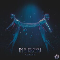 Cover of In A Dream