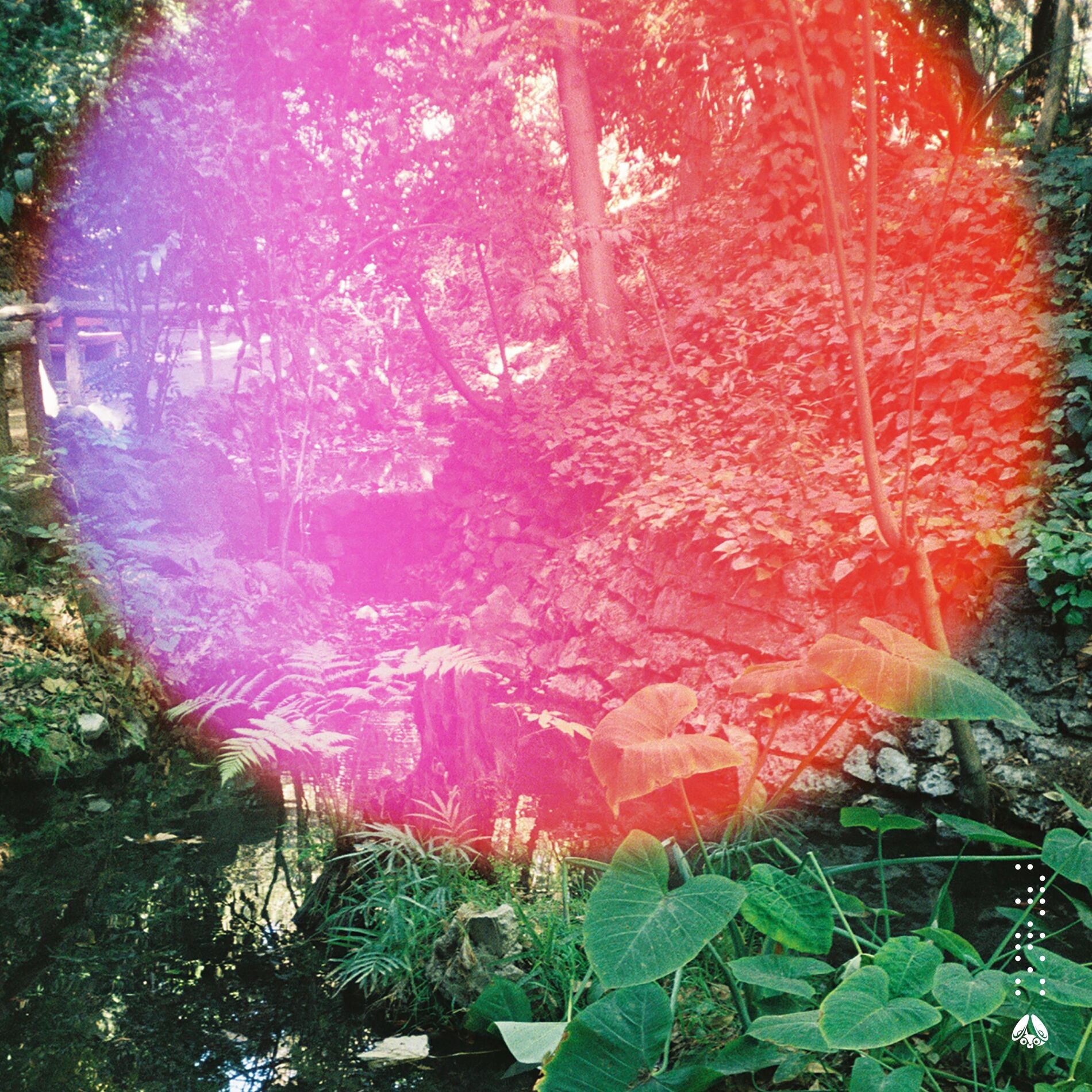 Album cover of Rainfall