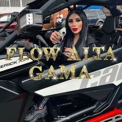 Cover of Flow Alta Gama