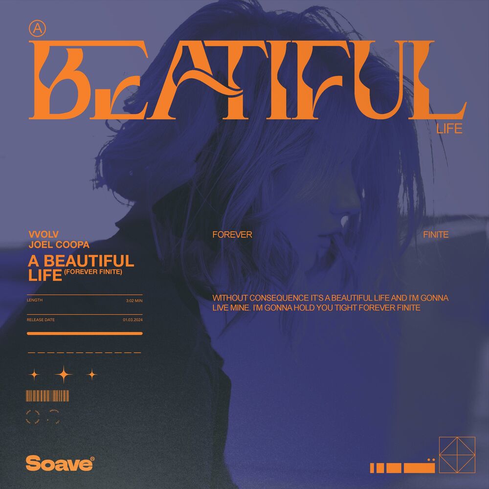 Picture of A Beautiful Life (Forever Finite)