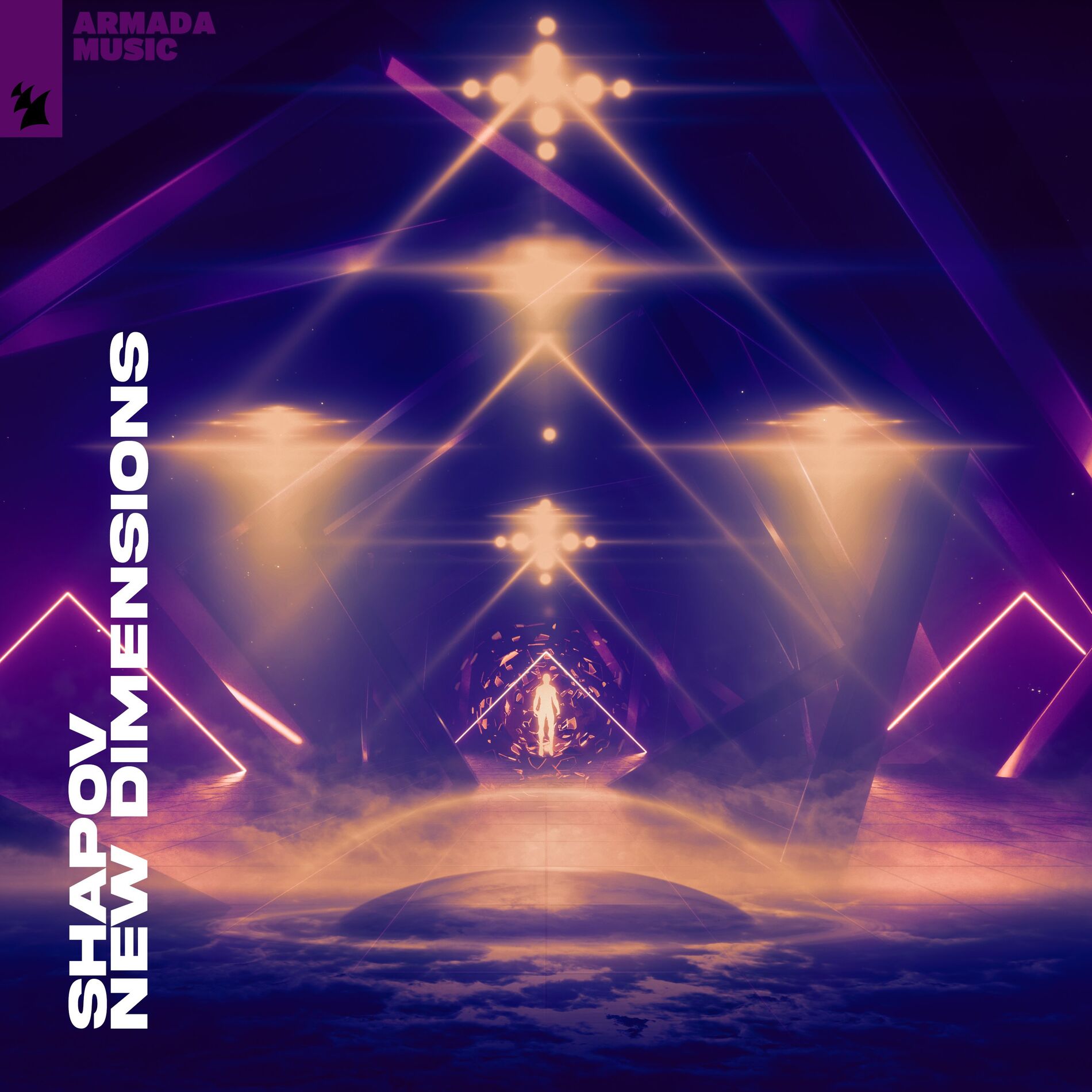 Album cover of Dark In The Light
