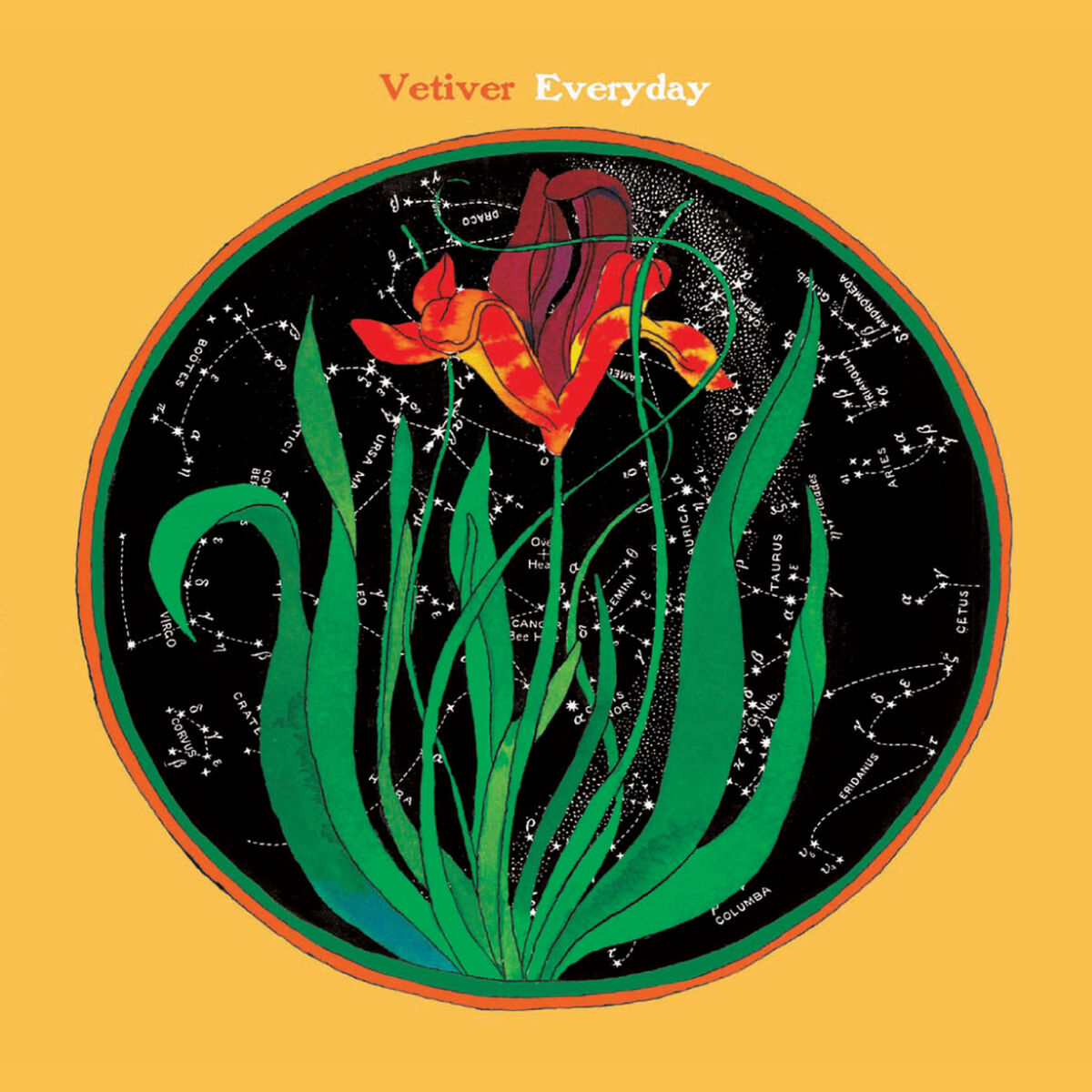 Album cover of Everyday
