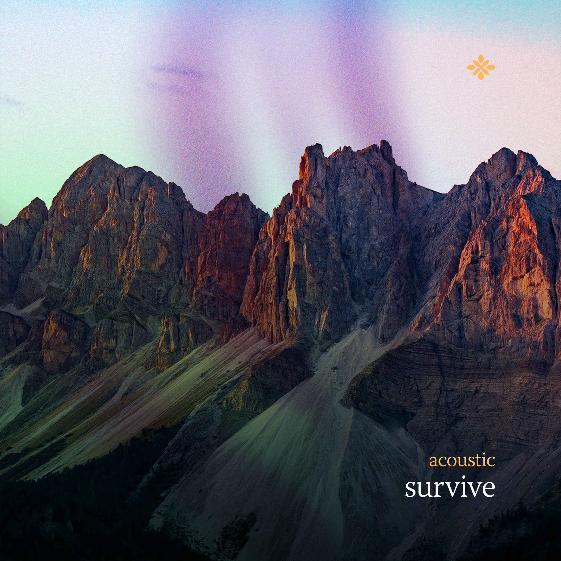Album cover of survive (acoustic)