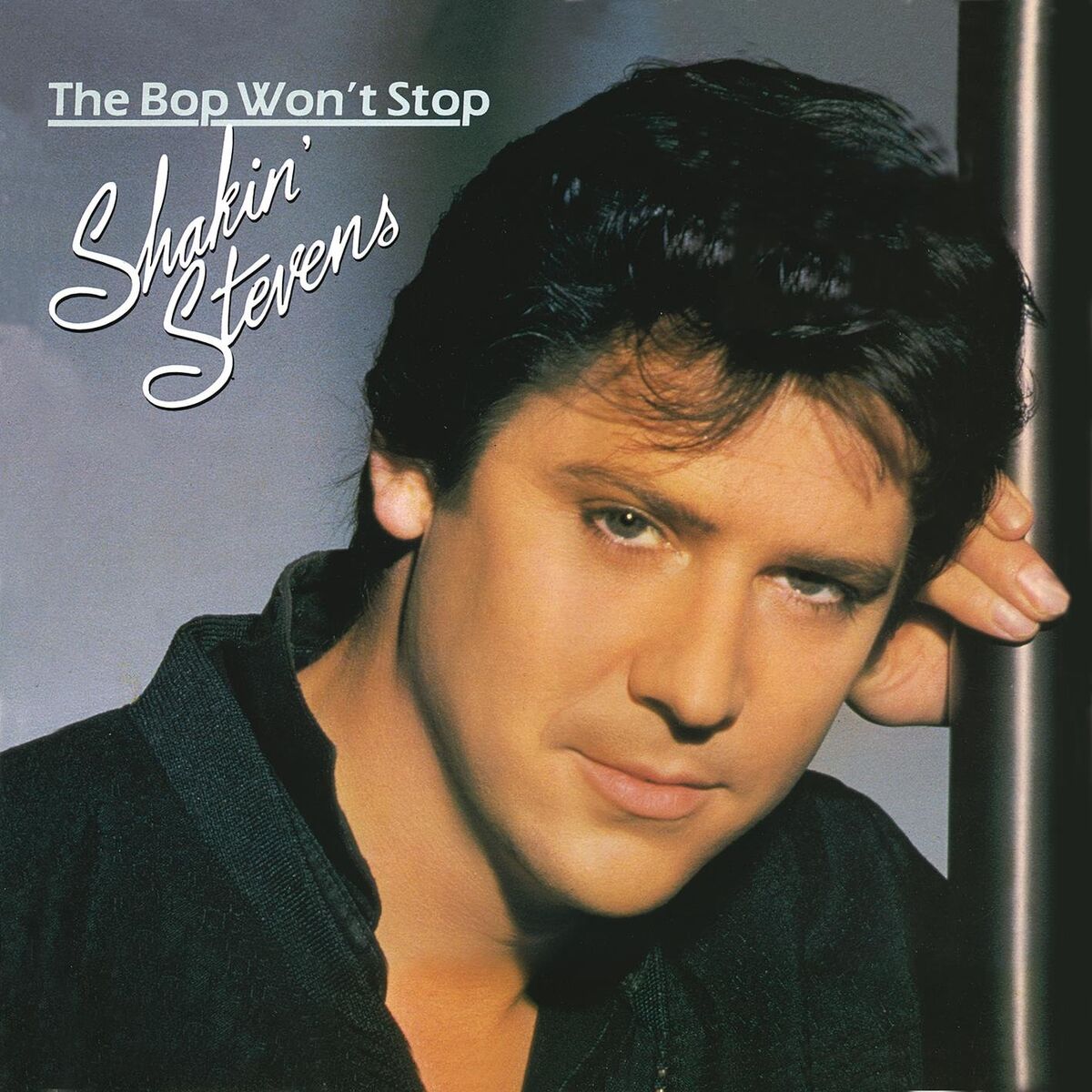 Album cover of The Bop Won't Stop