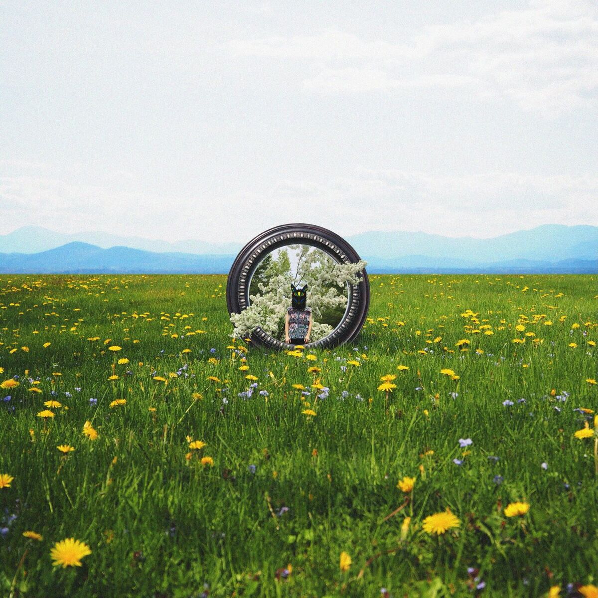 Album cover of Forgotten Feels