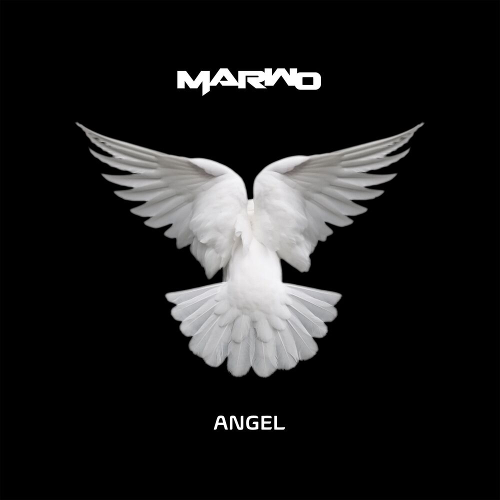 Picture of Angel (Radio Edit)