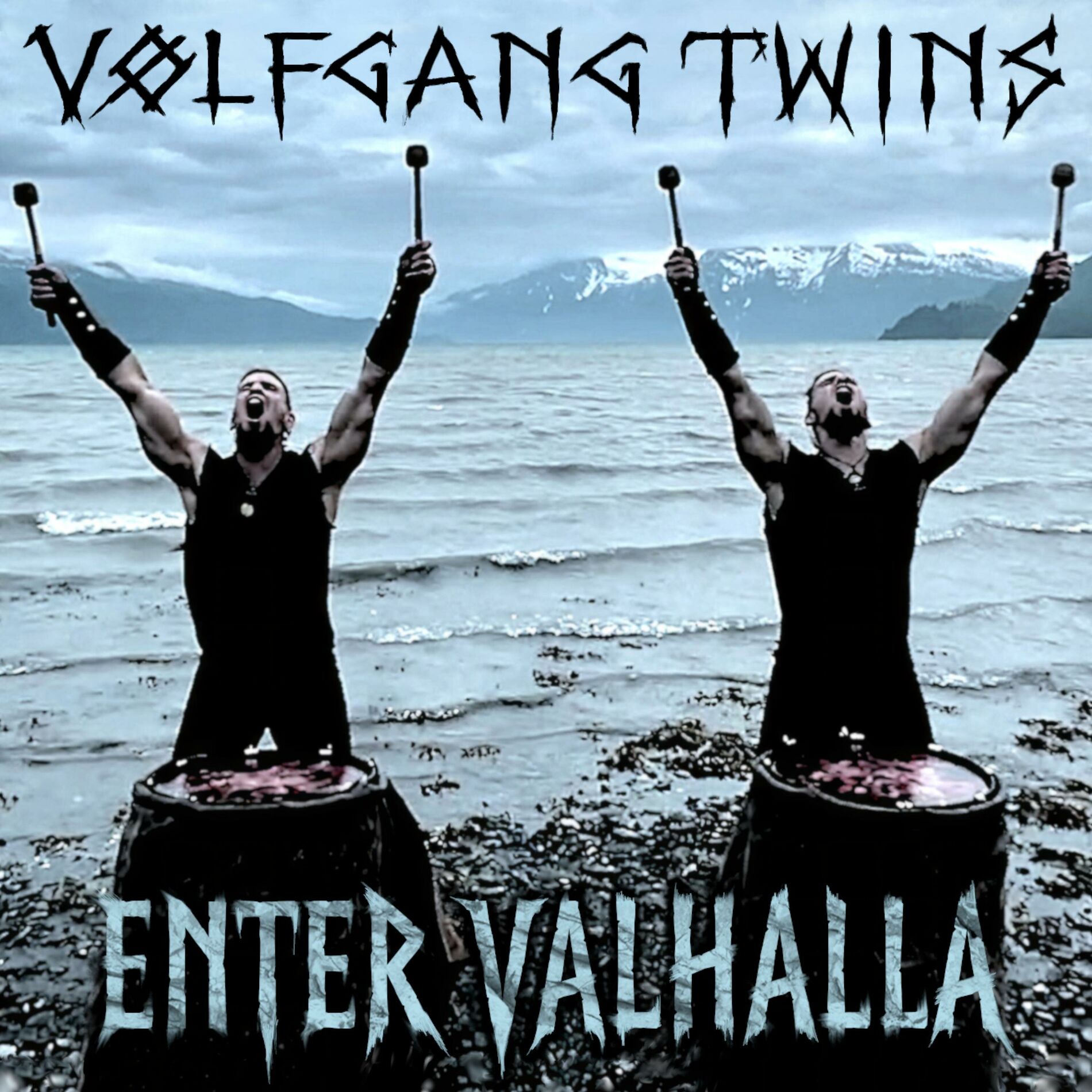 Album cover of ENTER VALHALLA