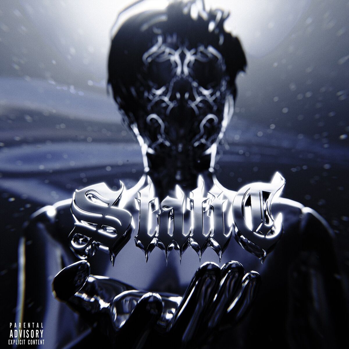 Album cover of STATIC