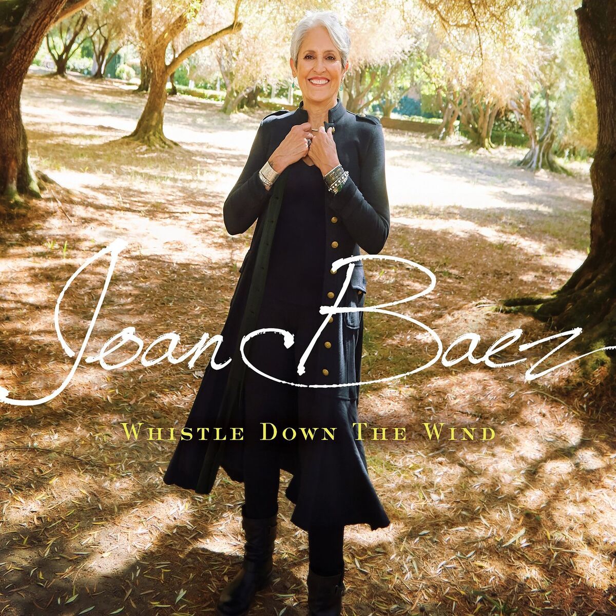 Album cover of Whistle Down The Wind