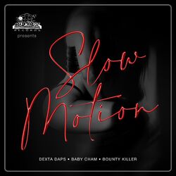 Cover of Slow Motion