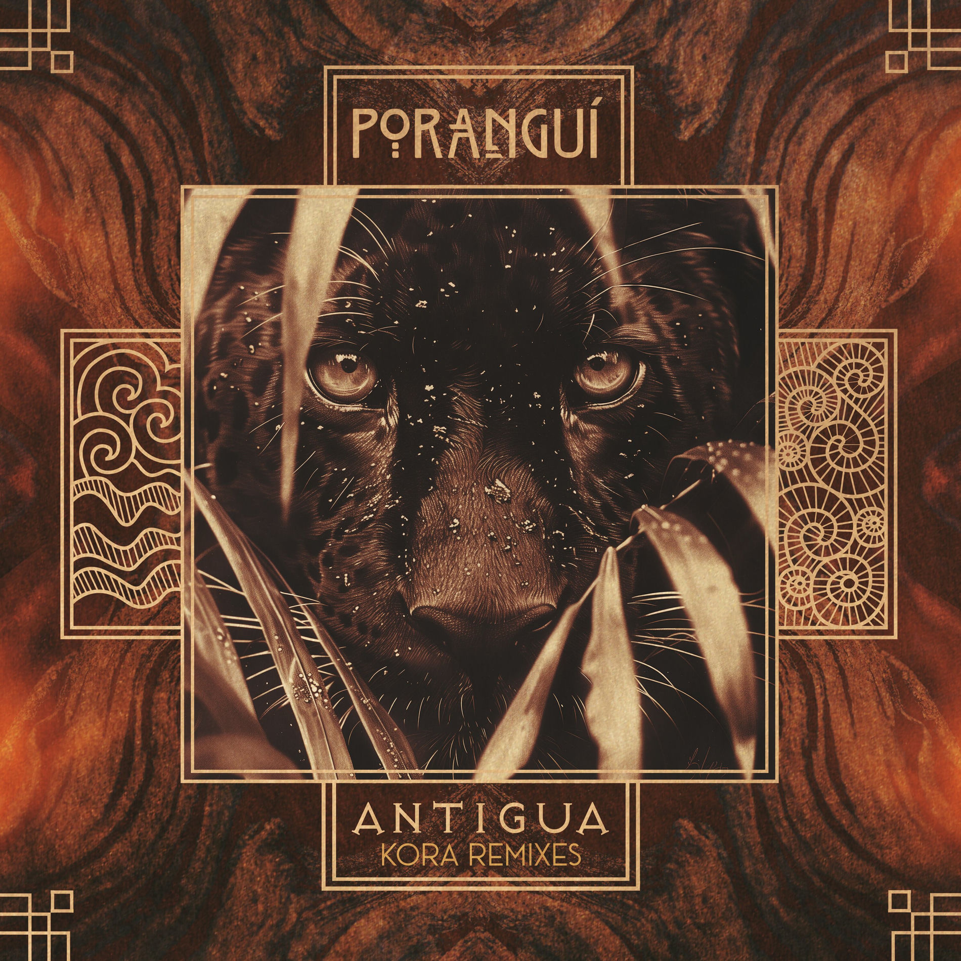 Album cover of Rooted Healing (Kora Remix)