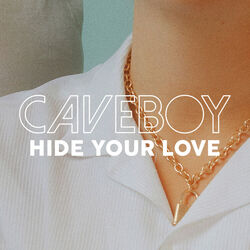 Cover of Hide Your Love