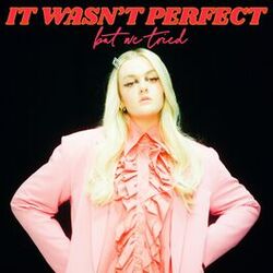 Cover of It Wasn't Perfect, But We Tried