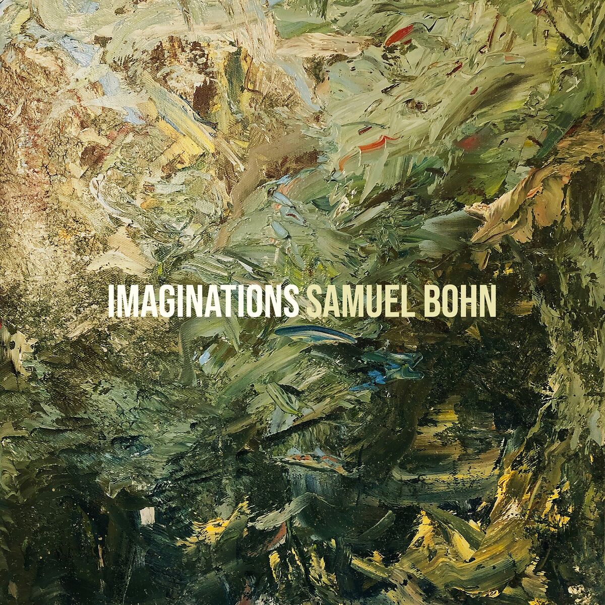 Album cover of Imaginations