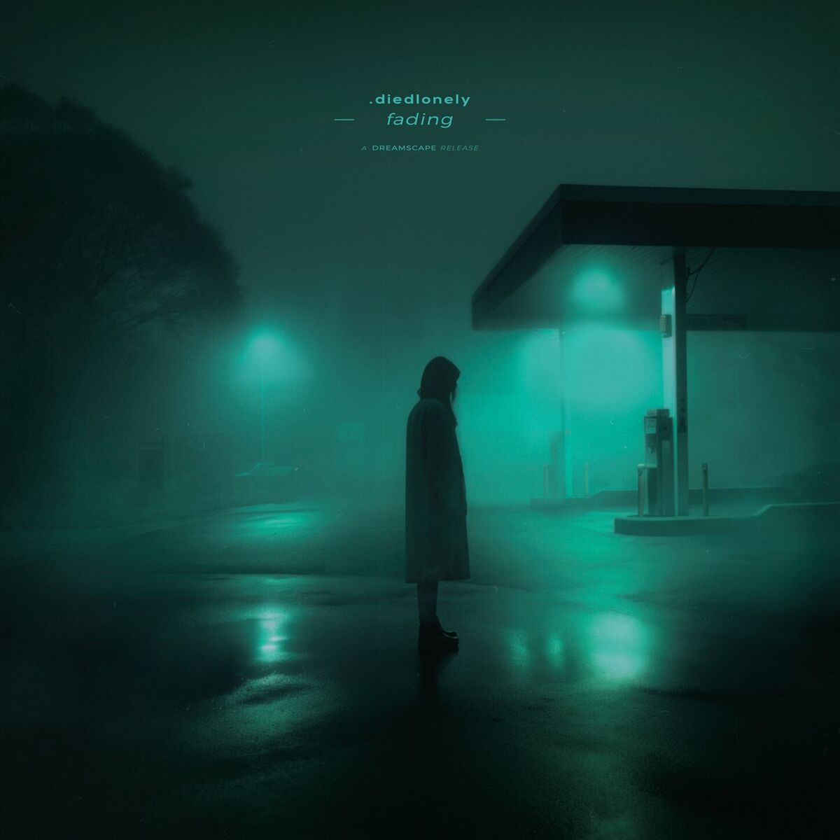 Album cover of fading (Remixes)
